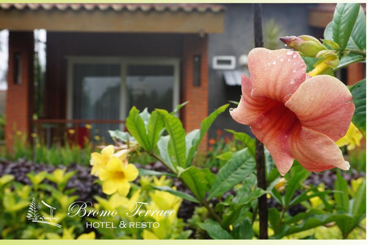 Bromo Terrace Hotel Kültér fotó