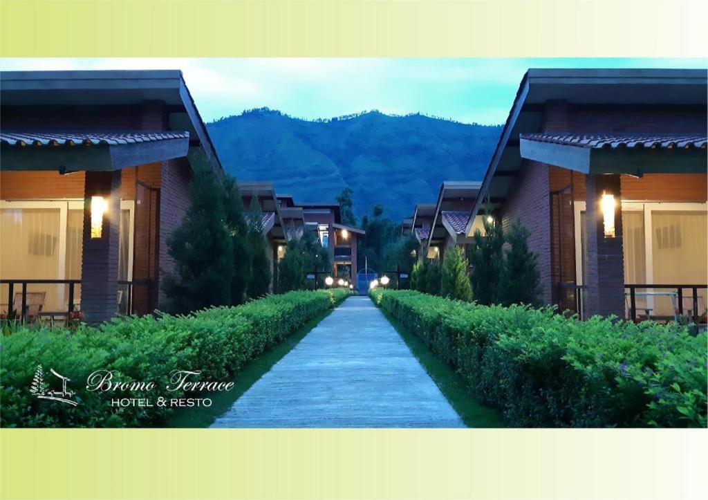 Bromo Terrace Hotel Kültér fotó