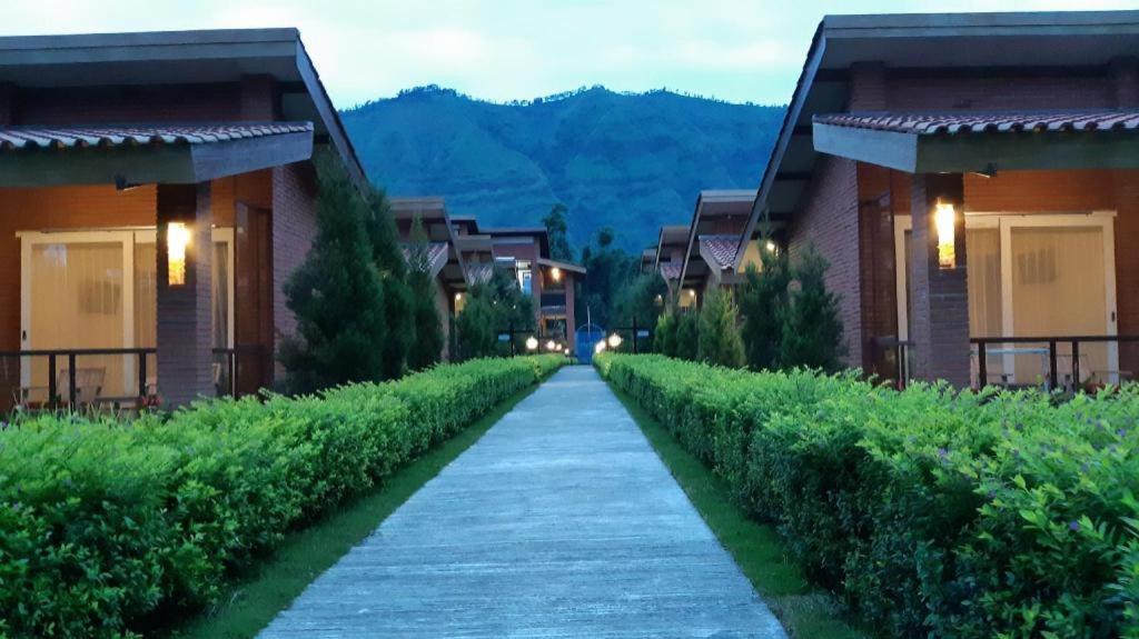 Bromo Terrace Hotel Kültér fotó